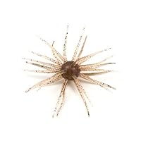 コイケ17mm 3個セット Koken(コーケン）3/8SQ. Z-EAL 6角セミディープソケット 17mm